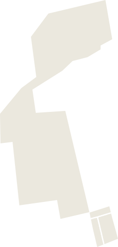 白四林场电子地图