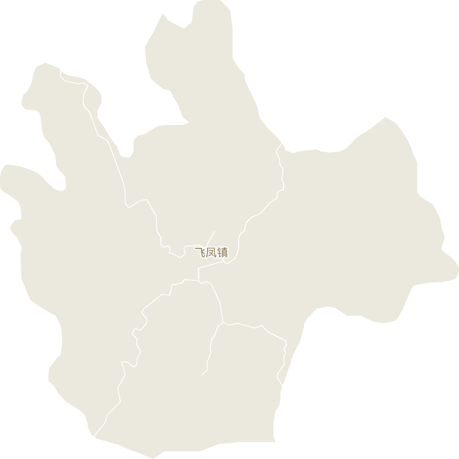 飞凤镇电子地图