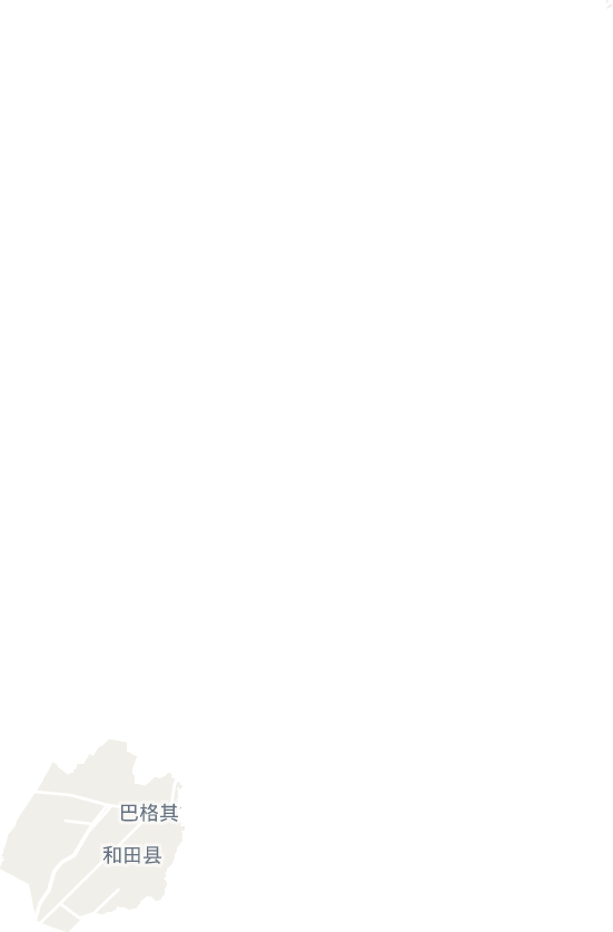 巴格其镇电子地图