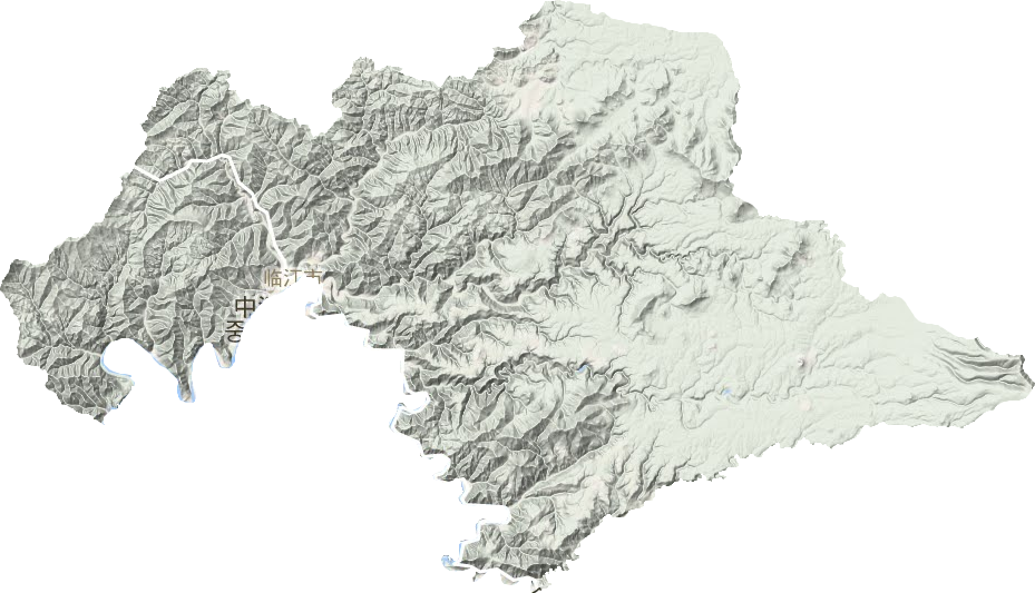 临江市地形地图