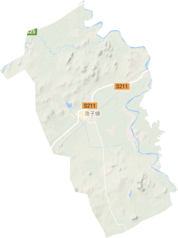 泡子镇地形地图