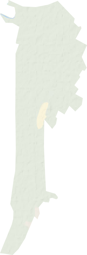 宝力农场地形地图