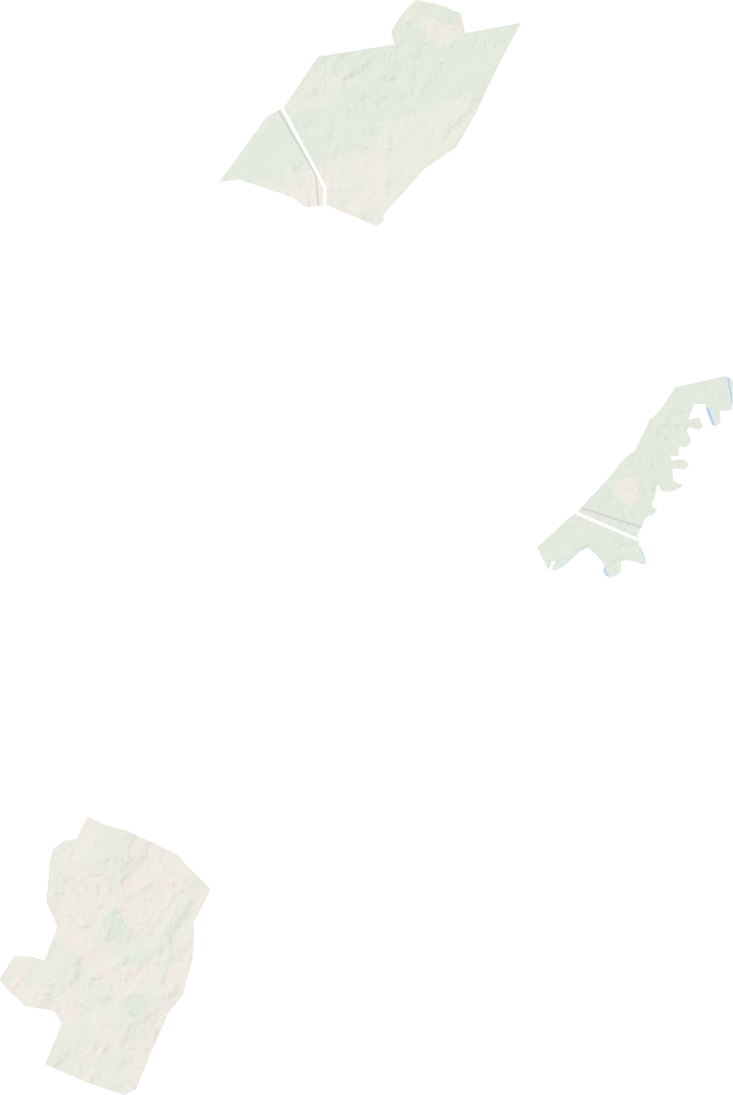 付家林场地形地图