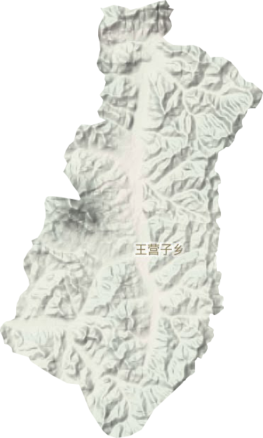 王营子乡地形地图
