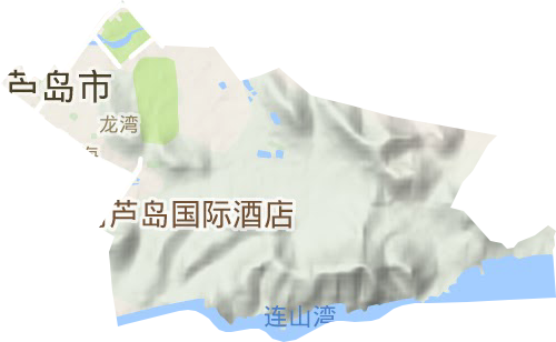 龙湾街道地形地图