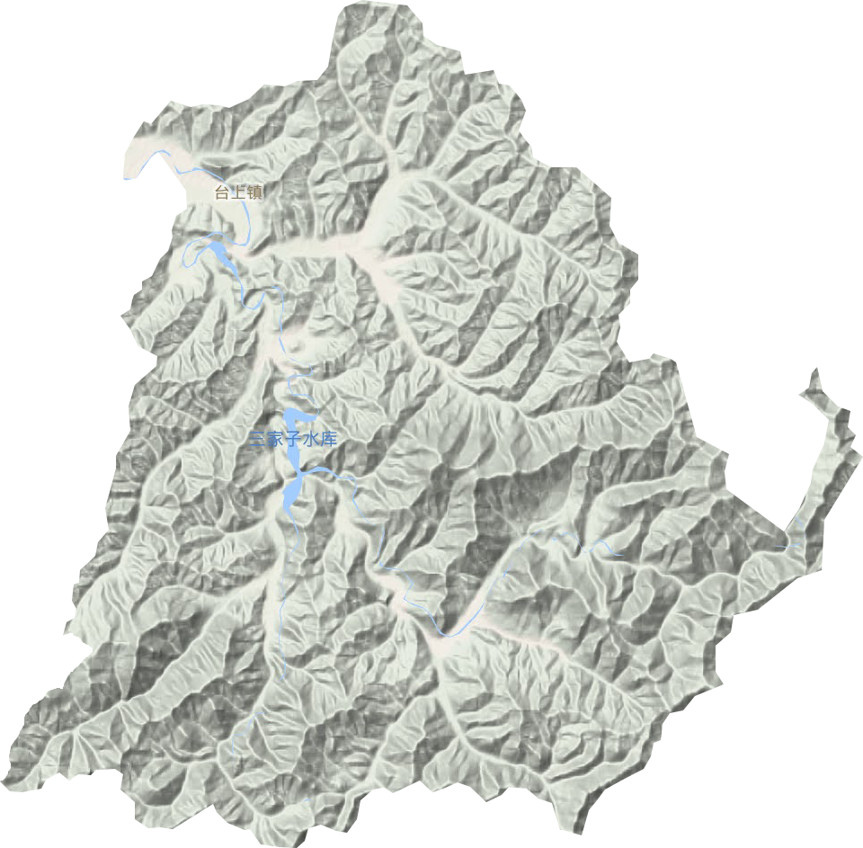 台上镇地形地图