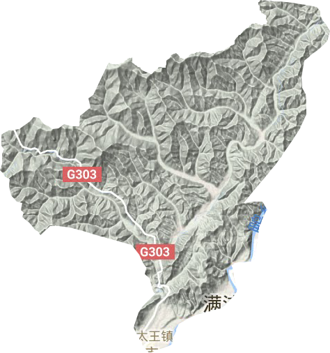 太王镇地形地图