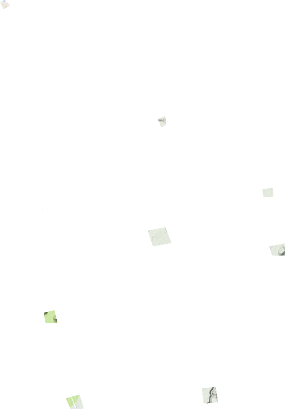 白河林业局地形地图