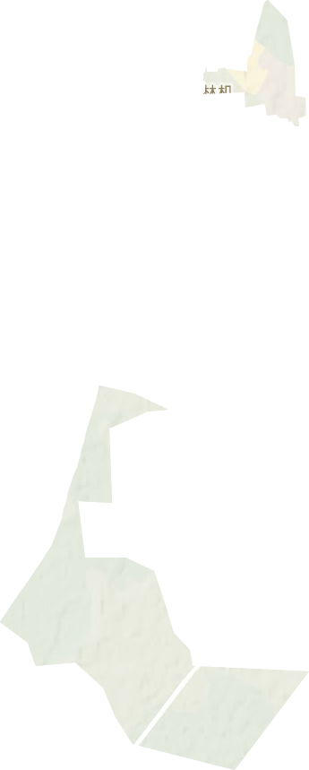 林机街道地形地图
