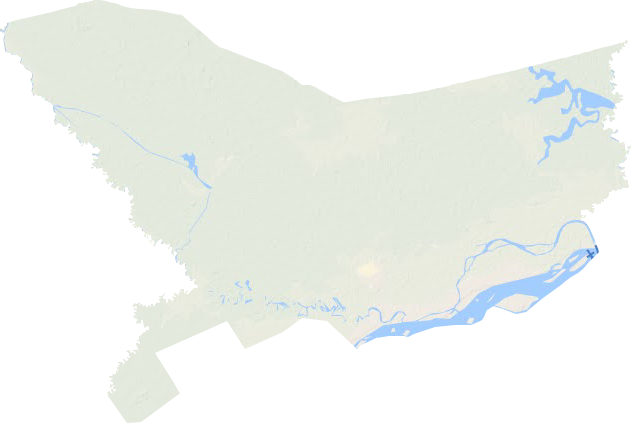 梧桐河农场地形地图