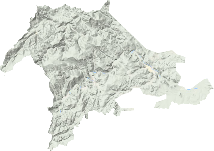 长汀镇地形地图