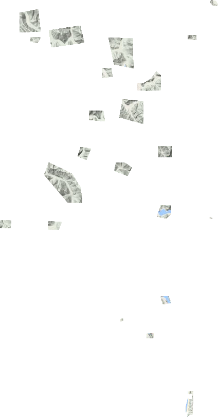 柴河林业局地形地图