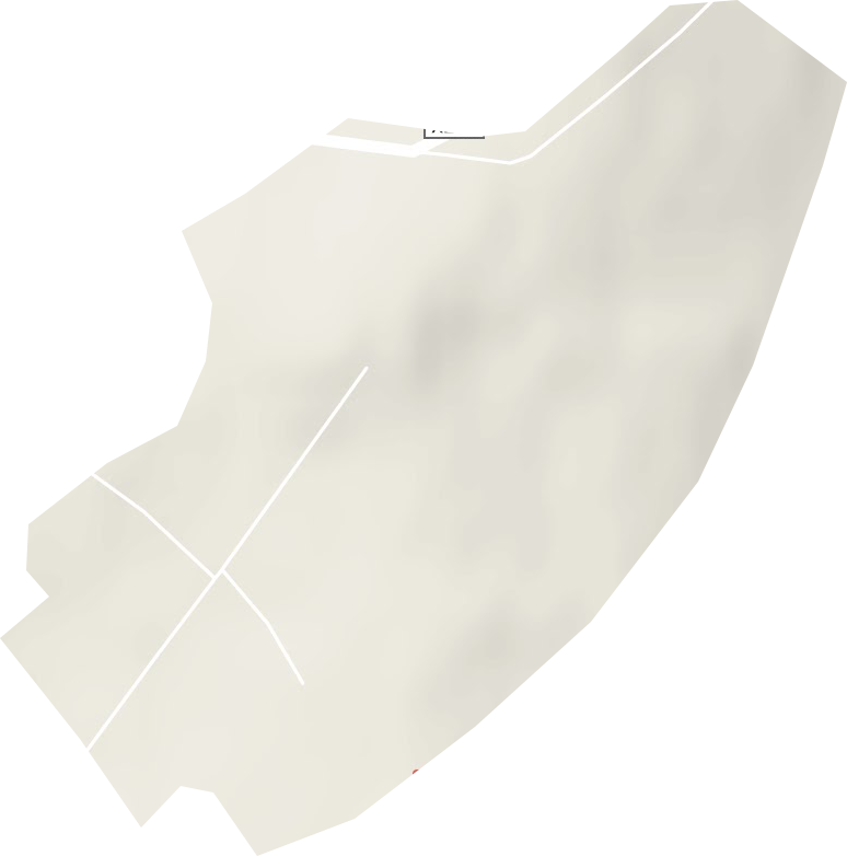 辰清林场地形地图