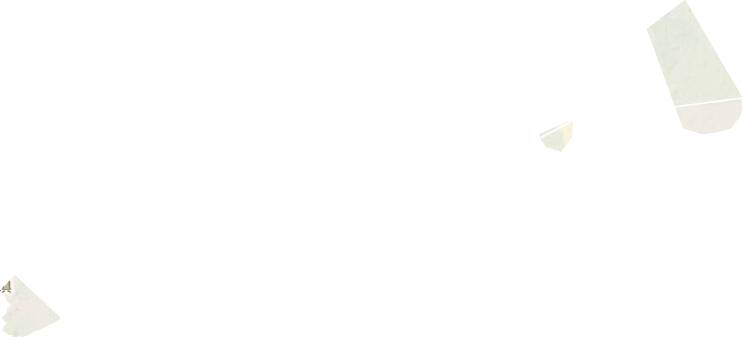原种场地形地图