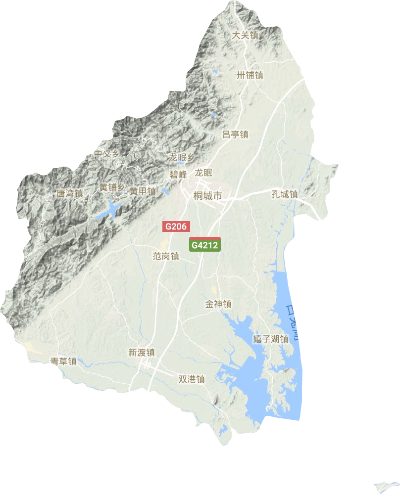 桐城市地形地图