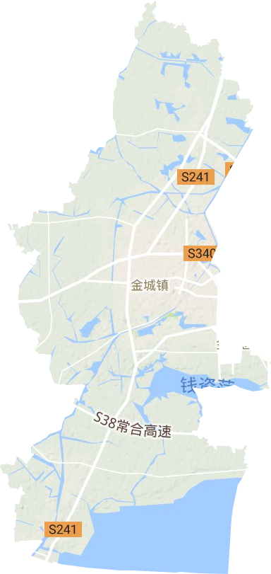 金城镇地形地图