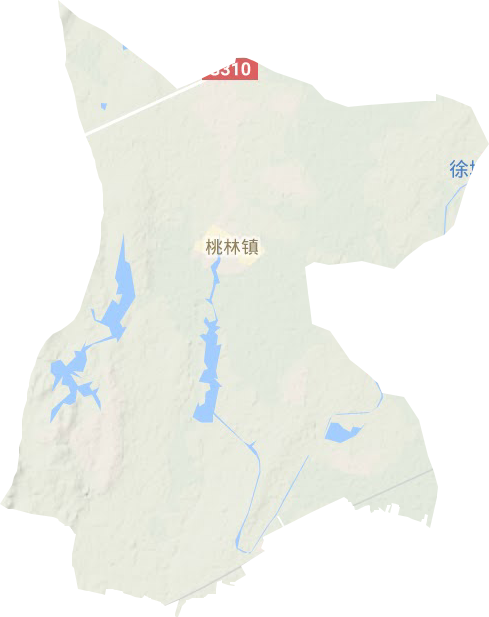 桃林镇地形地图