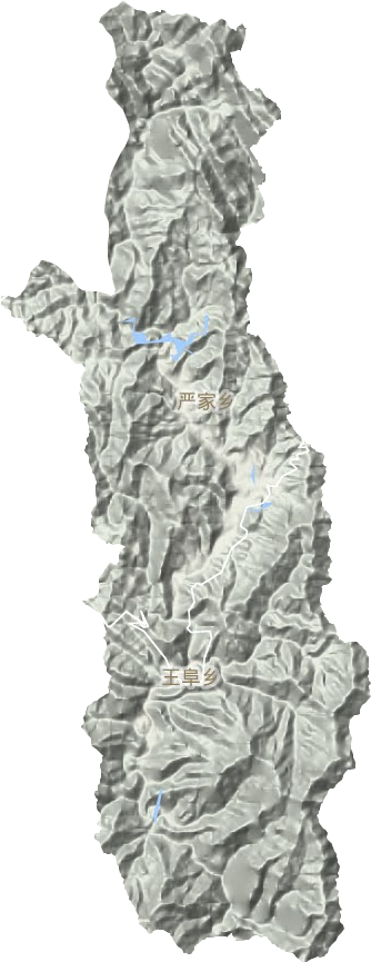 王阜乡地形地图