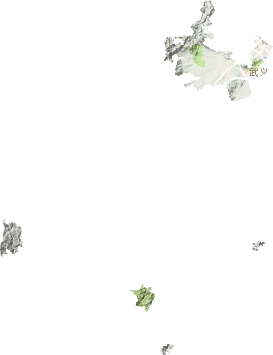 壶山街道地形地图