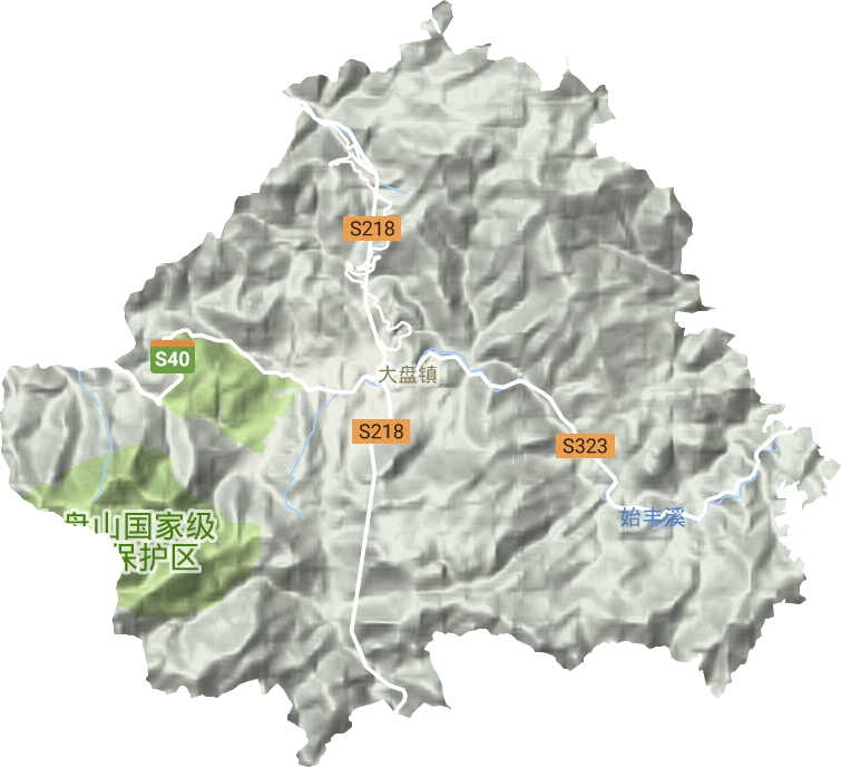 大盘镇地形地图
