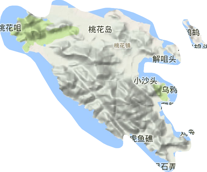 桃花镇地形地图