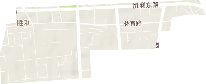 胜利街道地形地图