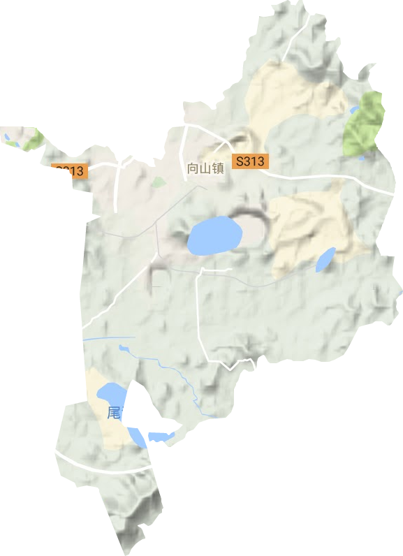 向山镇地形地图