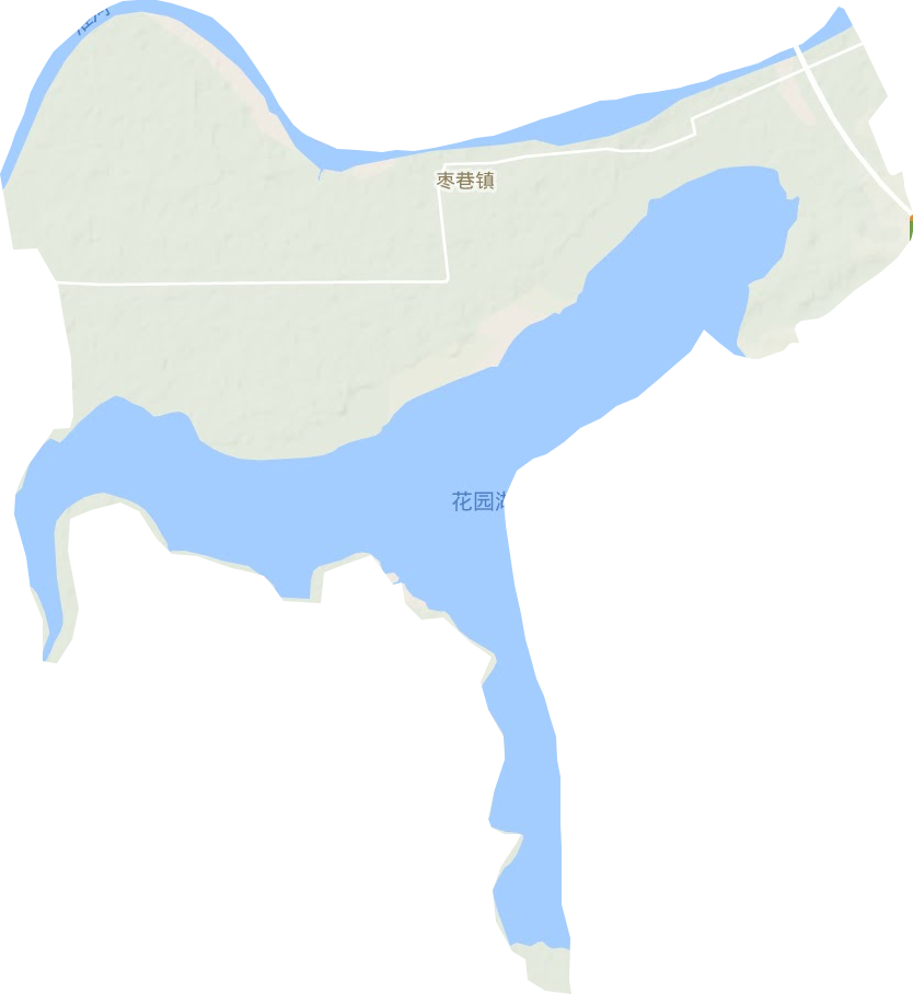 枣巷镇地形地图