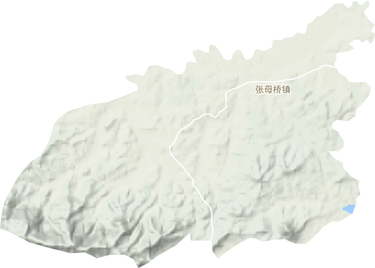 张母桥镇地形地图