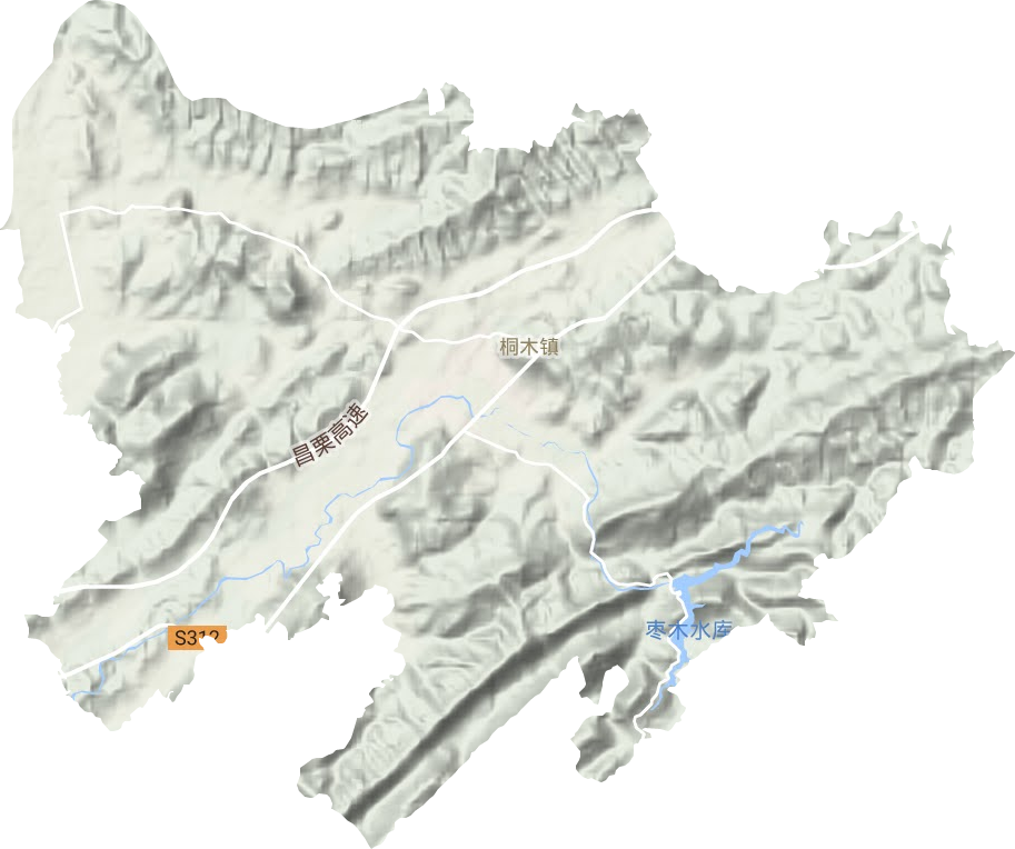桐木镇地形地图