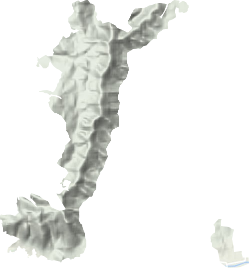 彭山林场地形地图