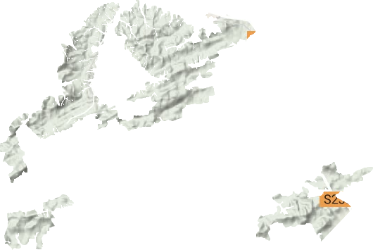 上甘山林场地形地图