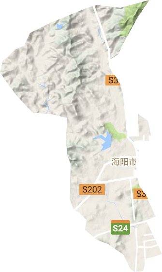 东村街道地形地图