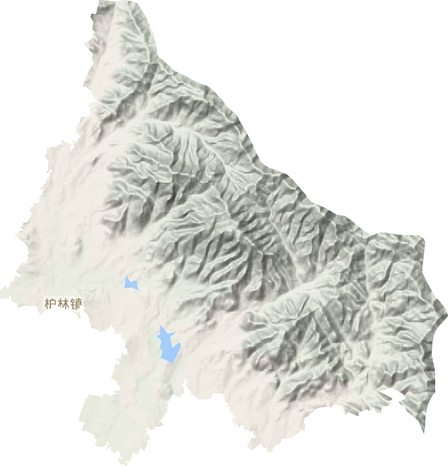 柏林镇地形地图