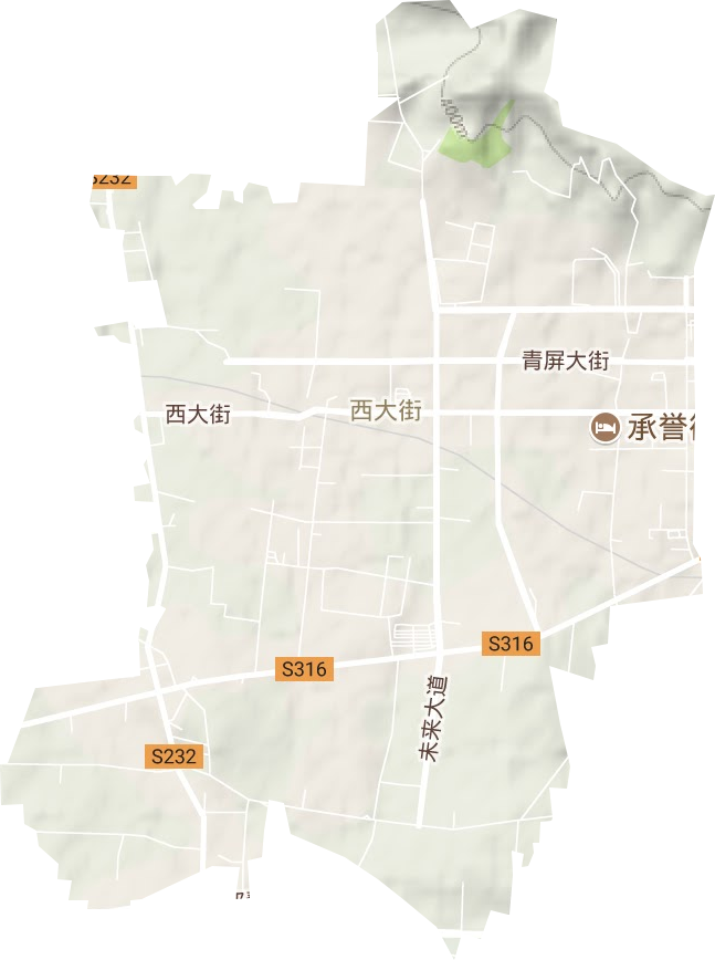 西大街街道地形地图
