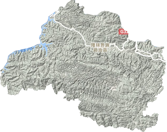 隆林县地形地图