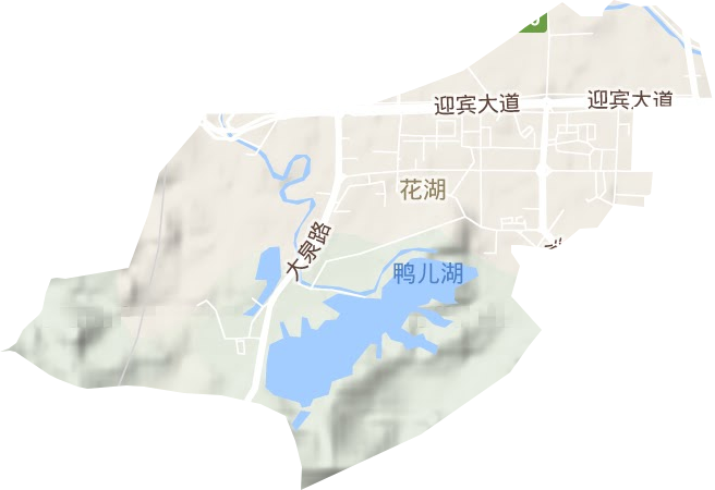 花湖街道地形地图