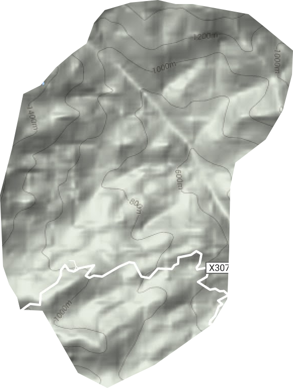 吴家山林场地形地图