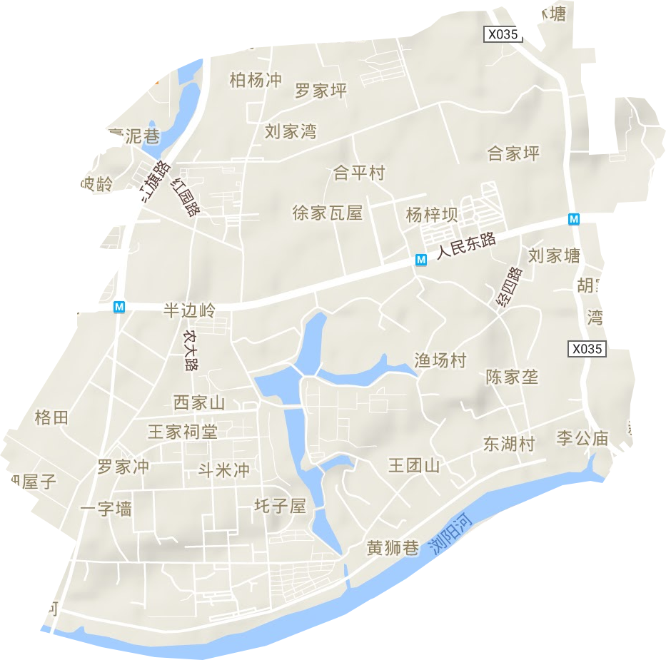 东湖街道地形地图