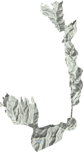 河伯岭林场地形地图