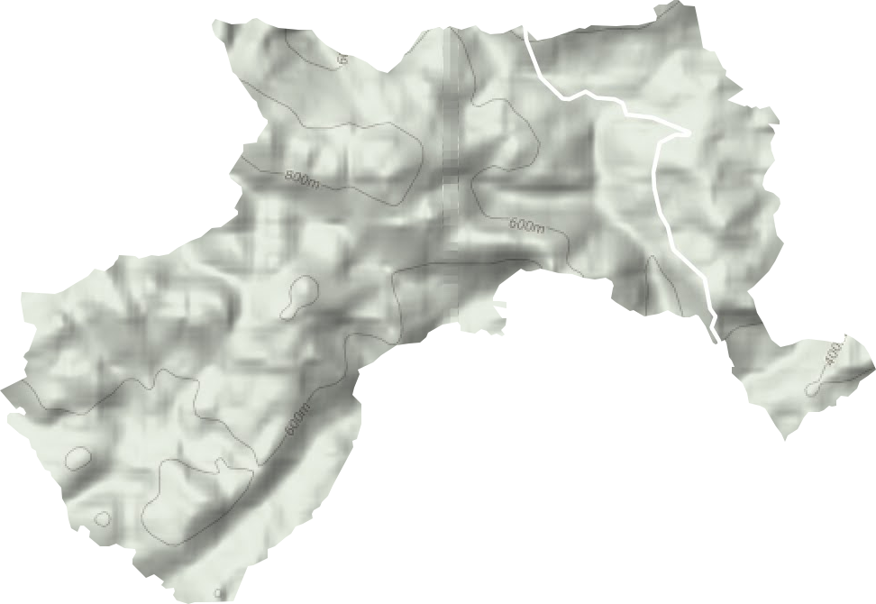 大同山林场地形地图