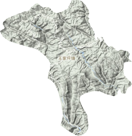 王家坪镇地形地图