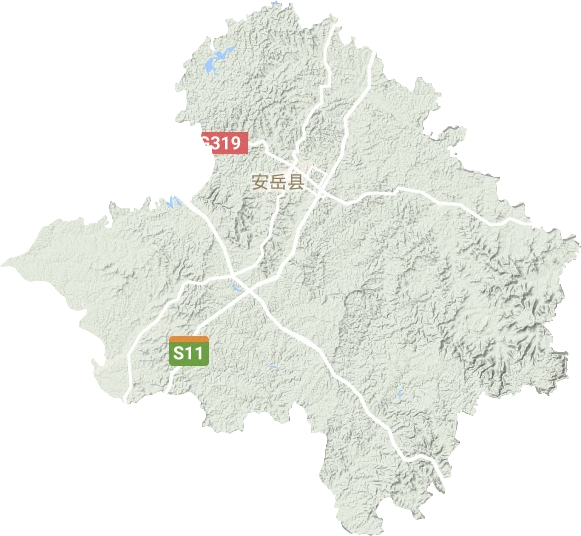 安岳县地形地图