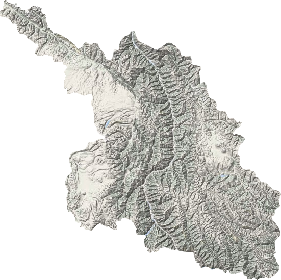 新龙县地形地图