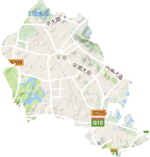 平湖街道地形地图