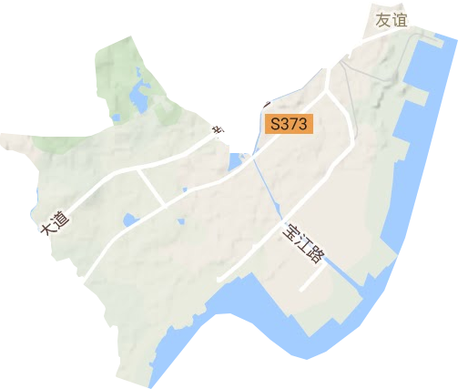 友谊街道地形地图