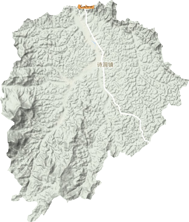 诗洞镇地形地图