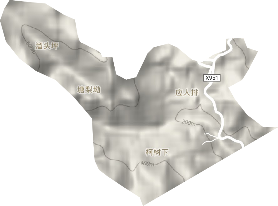 洲瑞林场地形地图