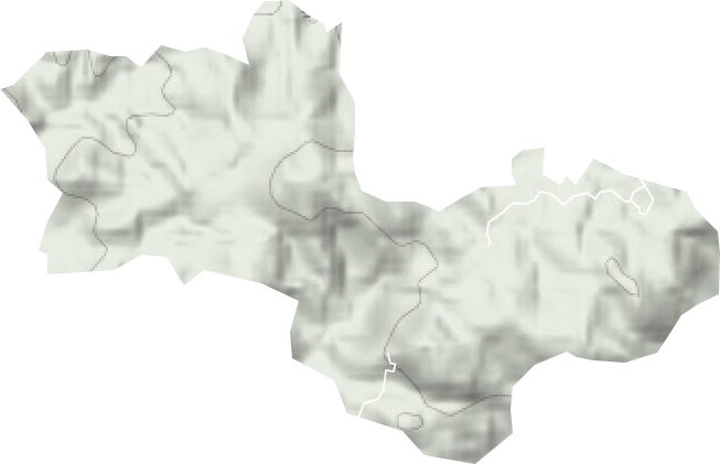 大埔林场地形地图