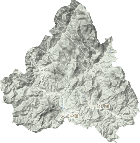 大龙华镇地形地图